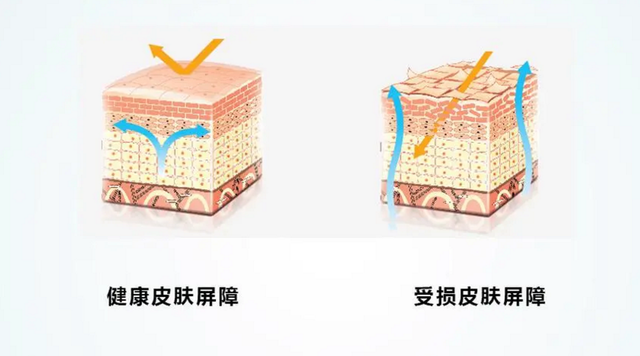 女性私处毛发可以剃掉?私处毛发的这3种用处,你需要了解