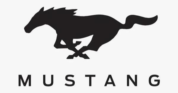 马头向下的Bronco才算福特最烈的“野马”,时隔25年出新车