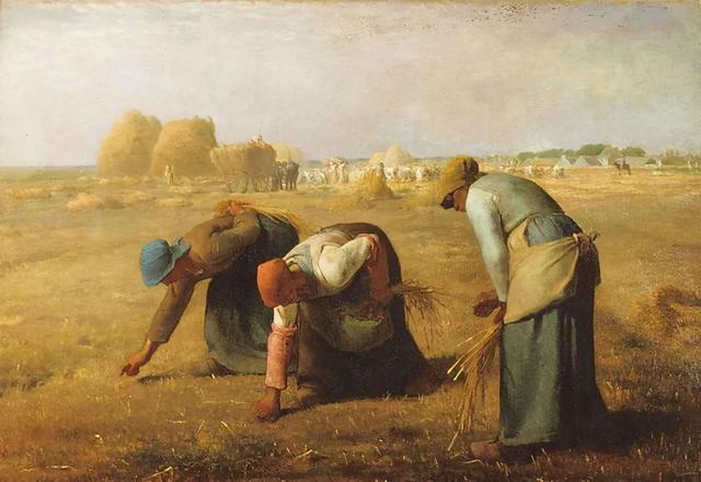 读完这本书,才明白露丝为何要求杰克给她作人体画