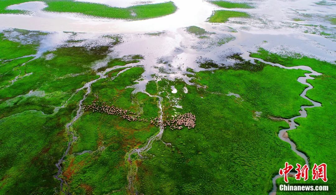 人这一辈子,一定要去一趟“新疆心脏”!