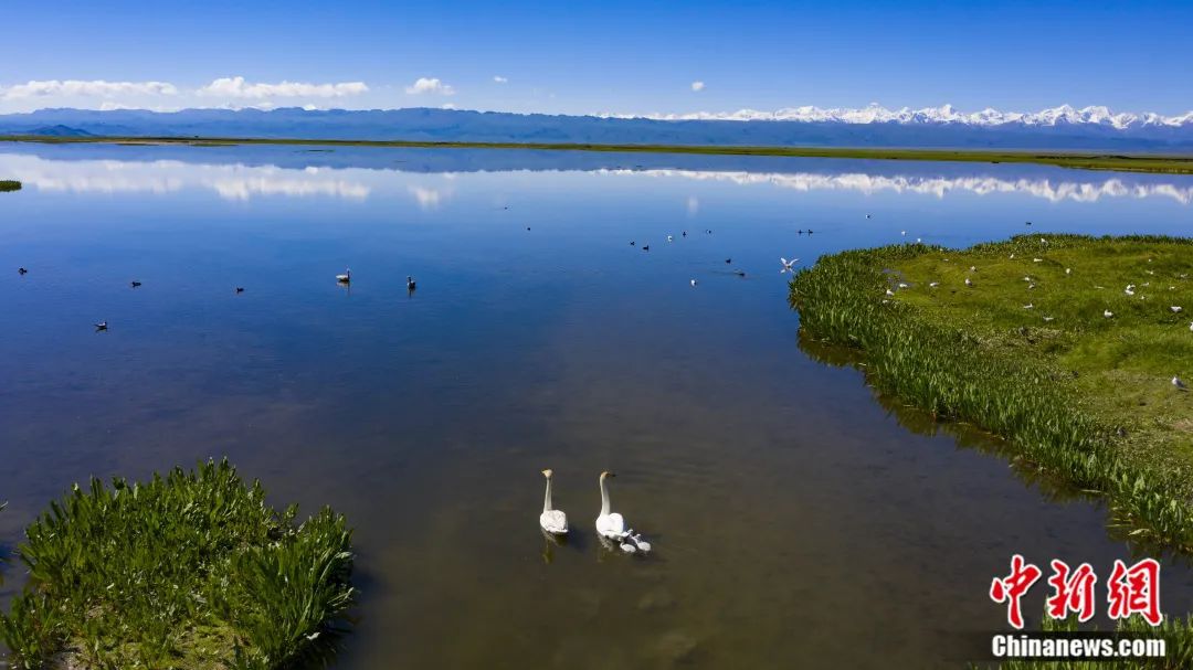 人这一辈子,一定要去一趟“新疆心脏”!
