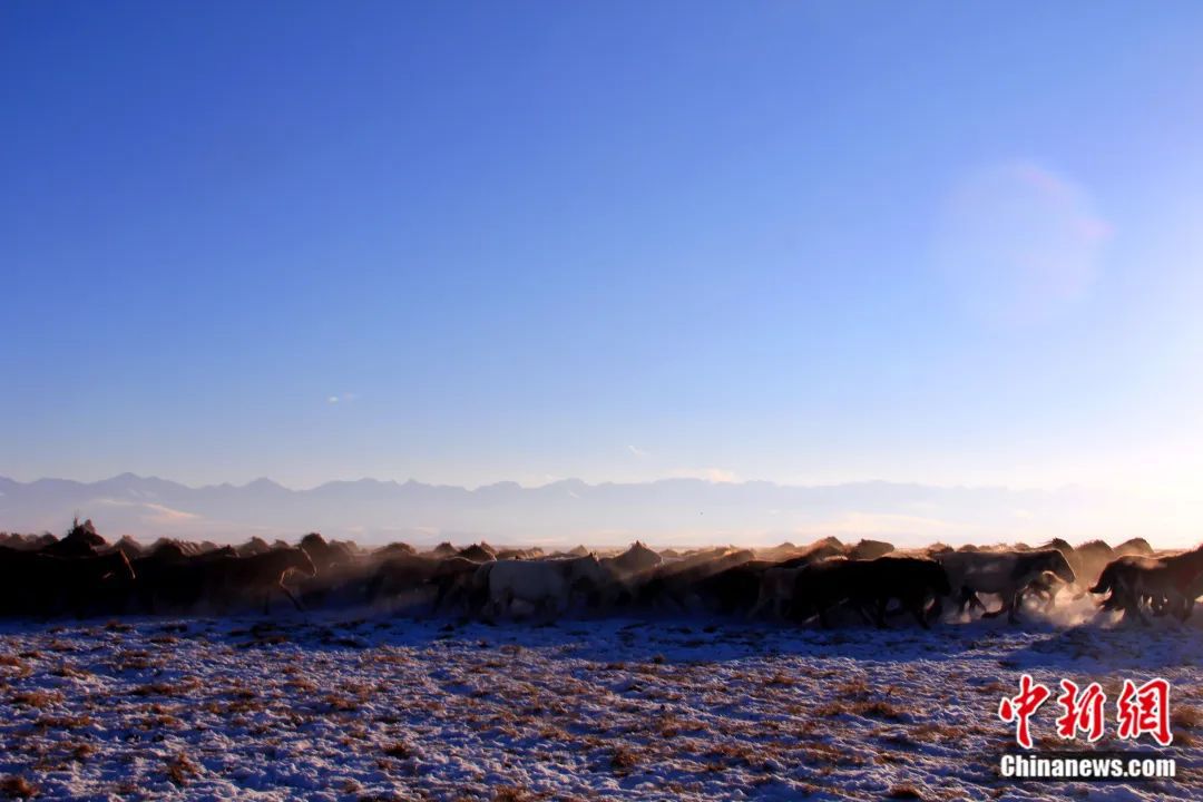 人这一辈子,一定要去一趟“新疆心脏”!