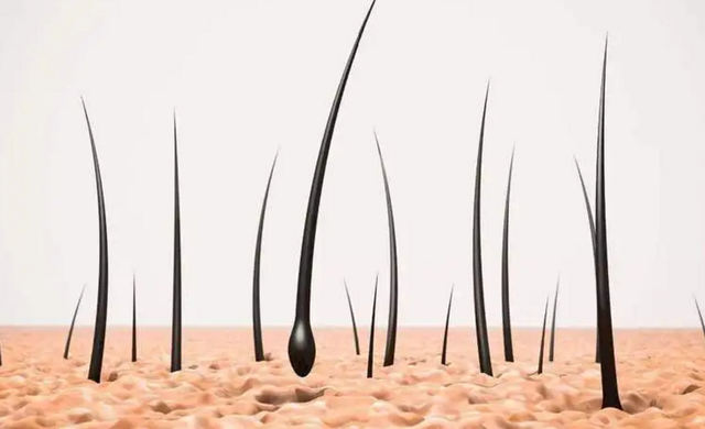 女性私处毛发可以剃掉?私处毛发的这3种用处,你需要了解