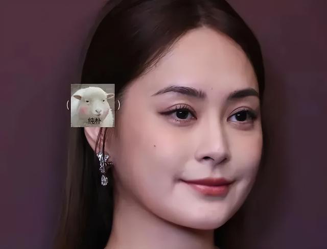 阿娇的“大粗腿”,撕碎了多少女明星的“虚伪”面具