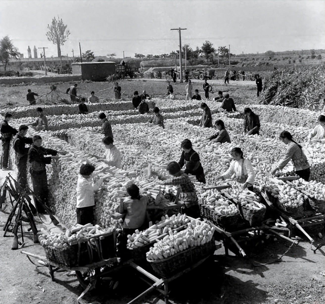 侵华日军残酷暴行,女子为活命脱下衣服让日本人拍摄,侮辱至死