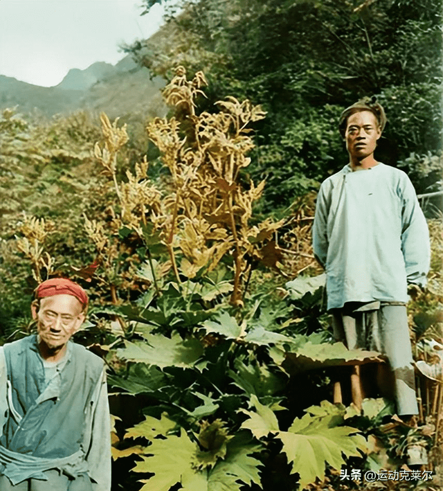 侵华日军残酷暴行,女子为活命脱下衣服让日本人拍摄,侮辱至死