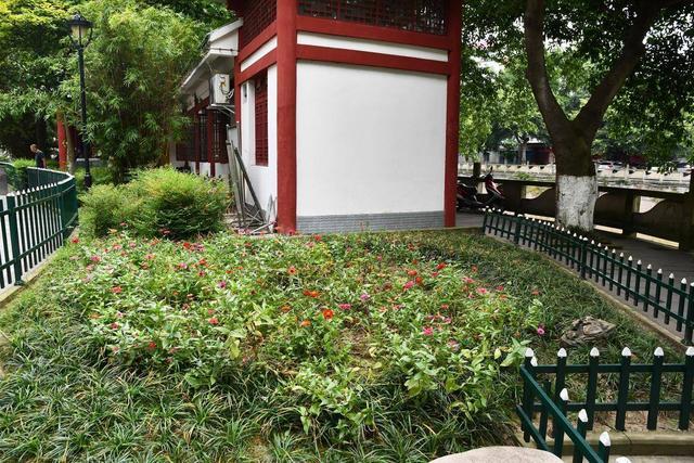 与媳妇一起驾驶e2出游,共度周日时光