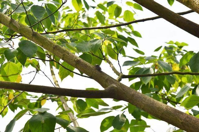 与媳妇一起驾驶e2出游,共度周日时光