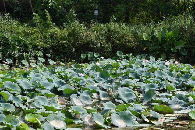 与媳妇一起驾驶e2出游,共度周日时光