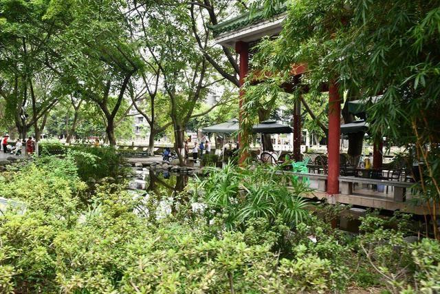 与媳妇一起驾驶e2出游,共度周日时光