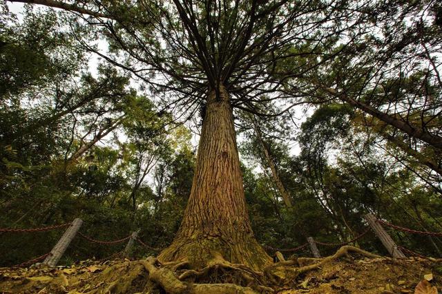 旅发会怎么游?“初冬游永顺”主题路线攻略