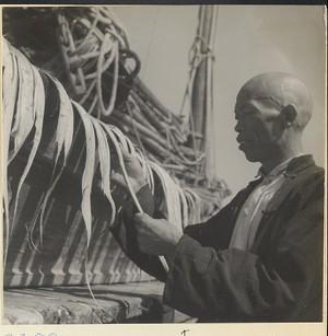 28张罕见图片,越南世界小姐比赛最受欢迎美女,乌克兰女兵