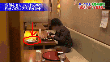 一丑女与一美女同时喂猩猩吃香蕉,结局尴尬