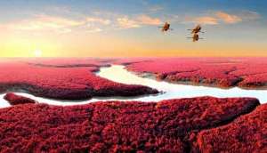 阜新到黑山汽车时刻表(好消息阜新盘锦直达高铁今起预售车票不日即将开通)