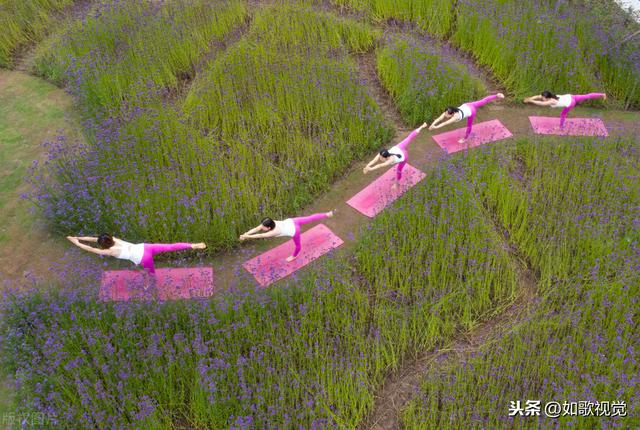 国际瑜伽日即将来临,看众多美女开练瑜伽,婀娜多姿性感迷人