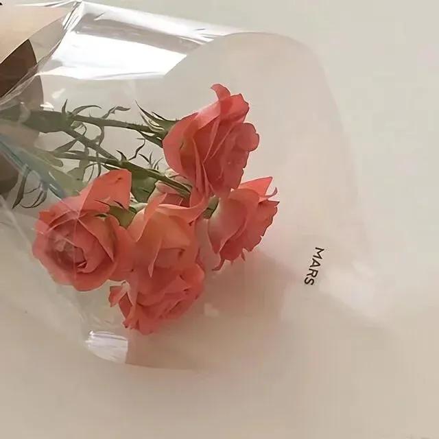 氧气感生命力文案|“偏爱自己,不需要任何条件”