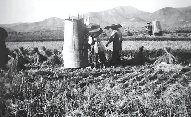变态的纳粹德国,脱光犹太人女人衣服,集体屠杀!
