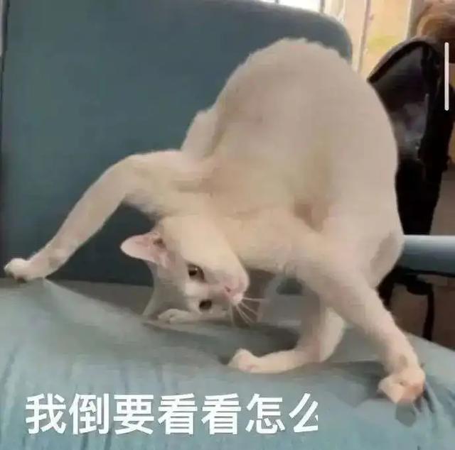 男生的喉结为什么不能随便乱摸?