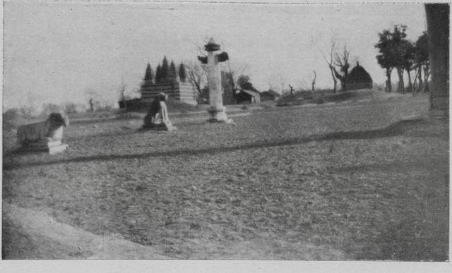 28张罕见图片,越南世界小姐比赛最受欢迎美女,乌克兰女兵