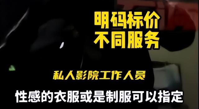 记者暗访私人影院, 毫无底线!美女助教, 互动观影, 亲嘴摸胸都可以