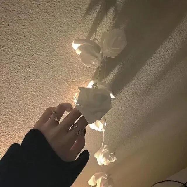 氧气感生命力文案|“偏爱自己,不需要任何条件”