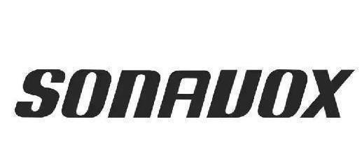 别人都用大品牌,蔚来却独爱国产音响?苏州上声产品如何?