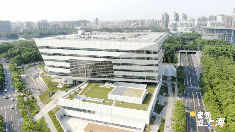 山海奇遇寻蛇记,巳巳如意过大年丨老外逛上海 ⑩