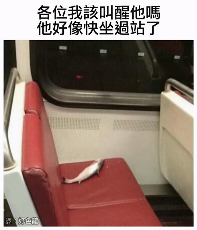 爆笑时刻!网吧推出小姐姐“陪玩游戏”服务,生意不火都不可能