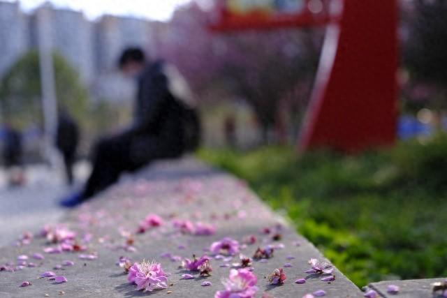 少女竟被大叔带到酒店,美女主动脱去衣服,献身五十岁的老男人!