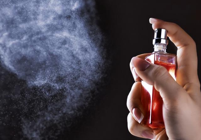 中世纪欧洲贵妇有多“脏”?在裙子里大小便,粪便和尿液无处不在