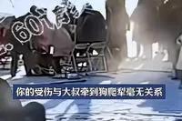 彭大妈吉林之旅惹风波,从受伤到网暴,到底发生了什么?