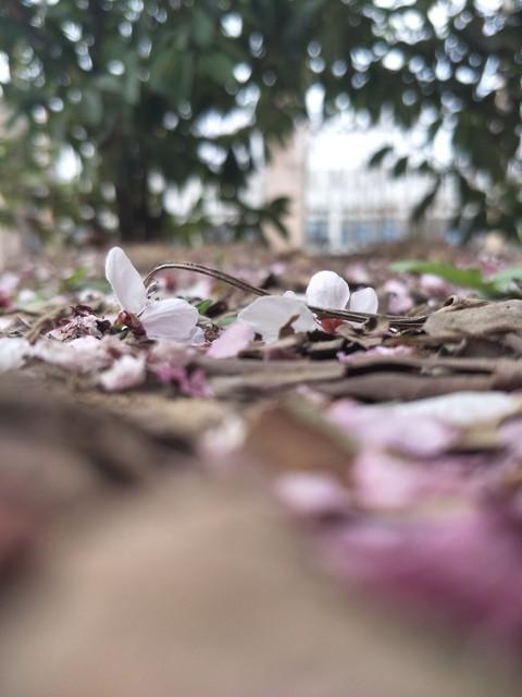 少女竟被大叔带到酒店,美女主动脱去衣服,献身五十岁的老男人!