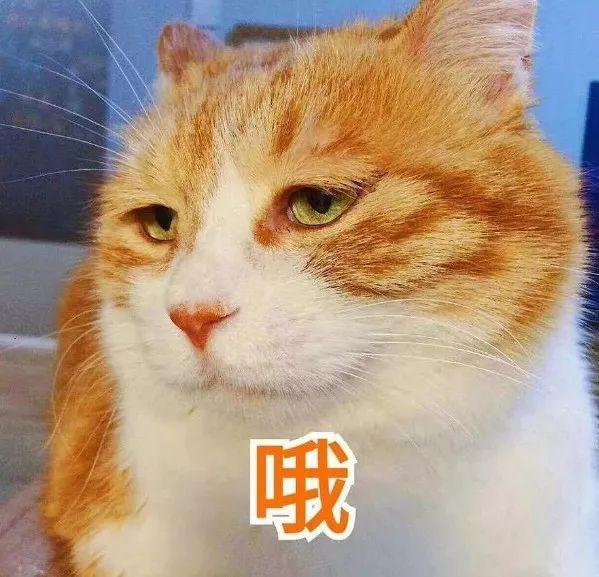 俩美女合租一间房得了一样的病:手腕上都长了“表”……