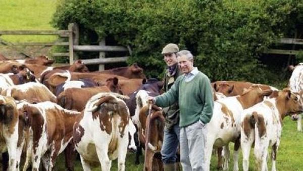 揭露王室保养秘诀,凯特梅根靠护肤,查尔斯逃避压力,和女王比不值一提