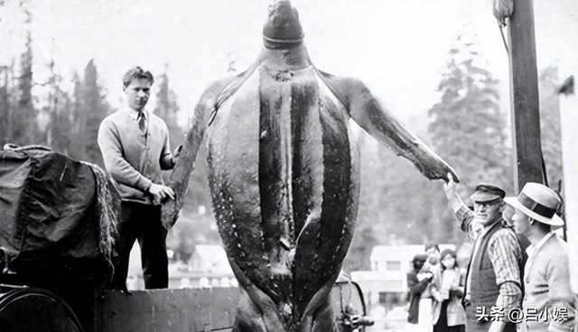 罕见照片:日本女人竟如此开放大胆,女学生脱光衣服全身赤裸上课