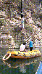 爆笑时刻!网吧推出小姐姐“陪玩游戏”服务,生意不火都不可能