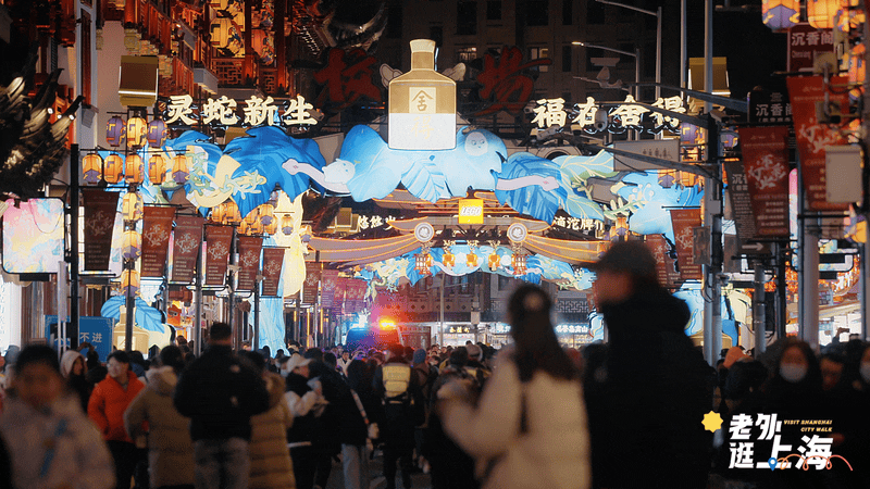 山海奇遇寻蛇记,巳巳如意过大年丨老外逛上海 ⑩