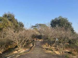 惠州到花都汽车时刻表(“小冻梨”们，惠州的花都给你们开好了)