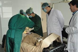 为了爱老婆做了绝育手术,上世纪这个农村男人真了不起!