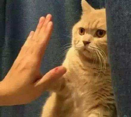 俩美女合租一间房得了一样的病:手腕上都长了“表”……