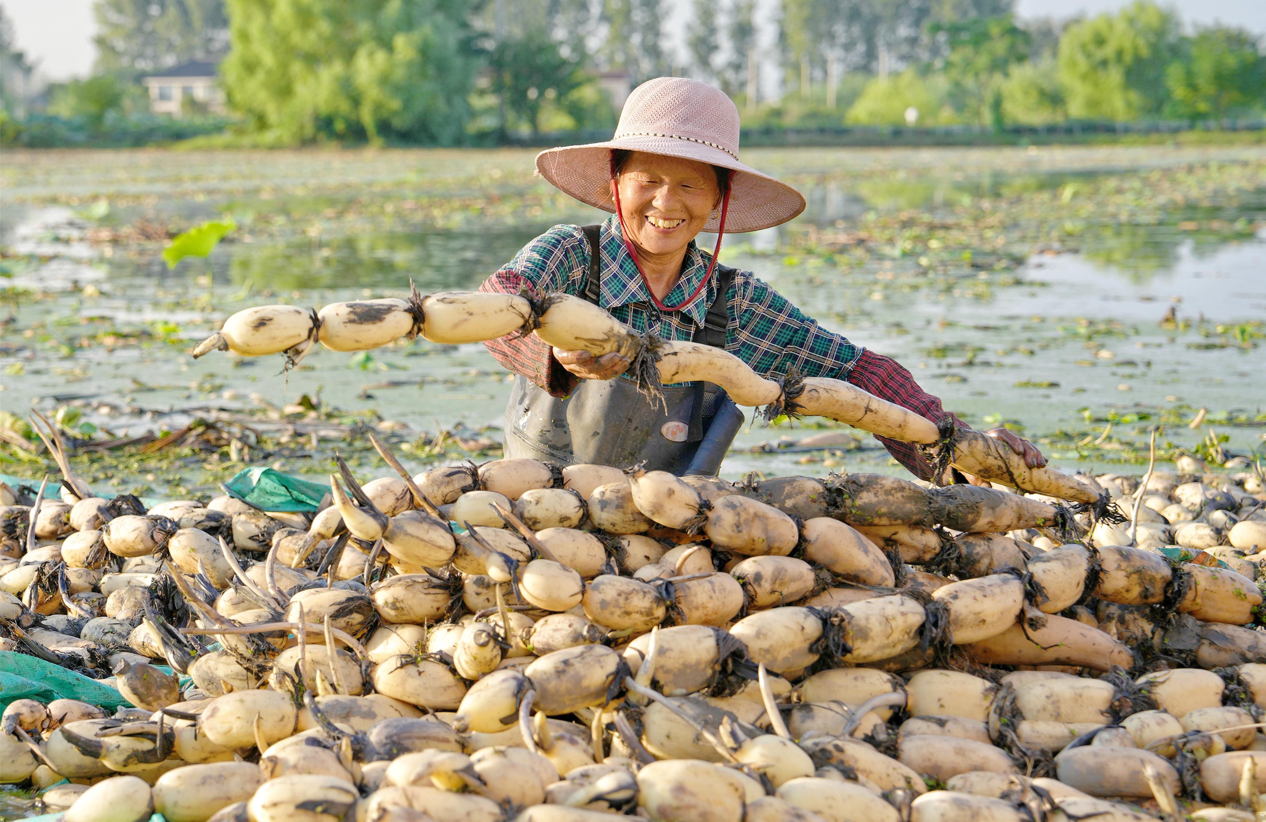 重塑哪吒和敖丙为啥用藕粉?原因竟然是这个