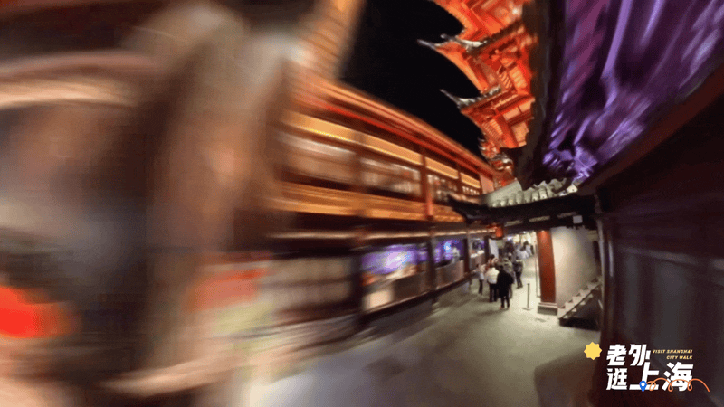 山海奇遇寻蛇记,巳巳如意过大年丨老外逛上海 ⑩