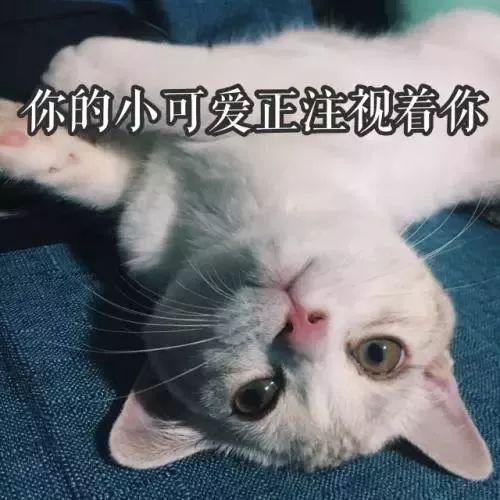 俩美女合租一间房得了一样的病:手腕上都长了“表”……