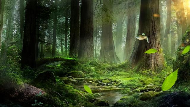 湖南9岁女孩被蜱虫钻进头皮吸血1个月 网友:看着都疼