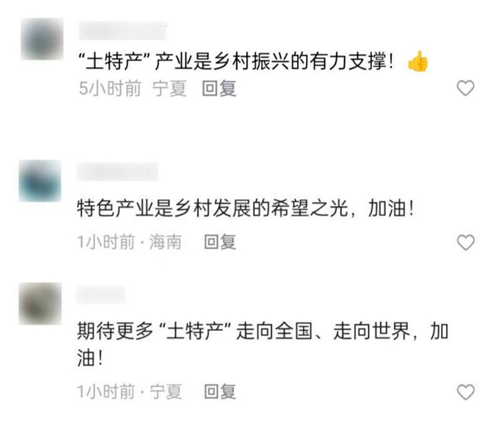 为了这条花灯长廊,网友们纷纷作起了诗!