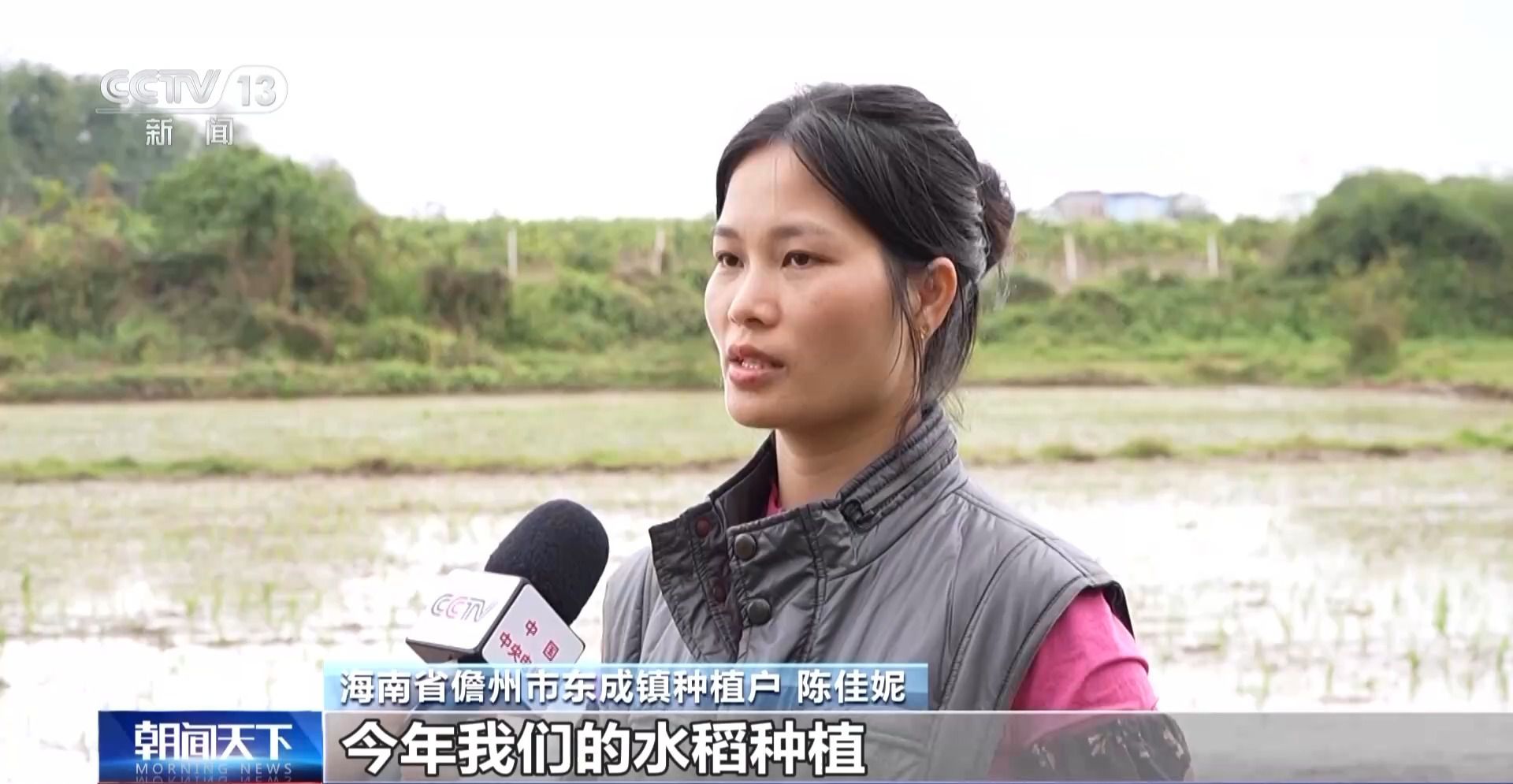 全国春耕开局:黑土地吃上有机餐 黄河水喂饱冬小麦