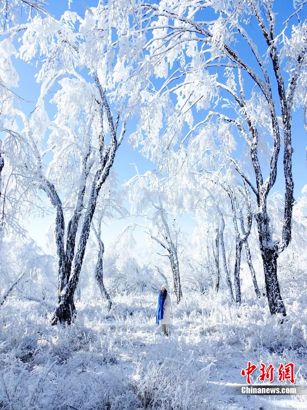 人这一辈子,一定要在冬天去一趟四川!