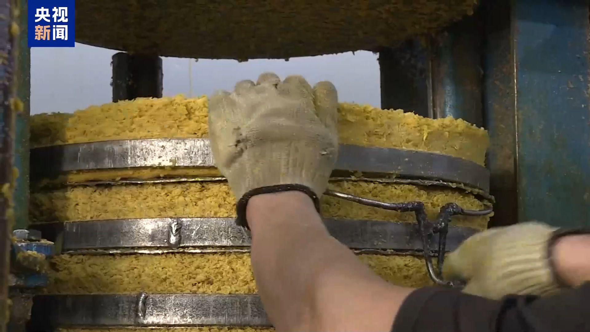 @大豆农户 近期行情不错 大豆可出!