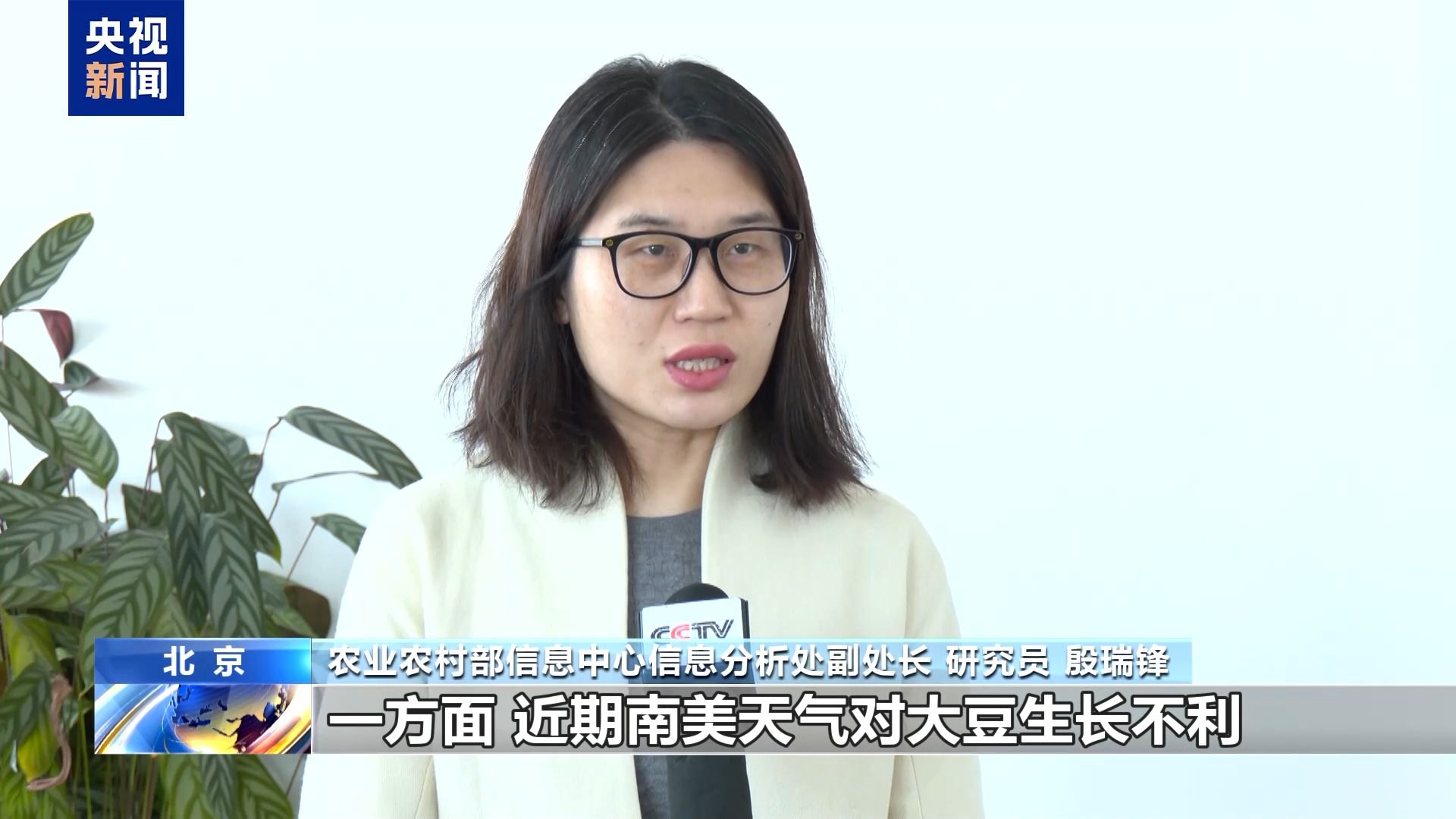 @大豆农户 近期行情不错 大豆可出!