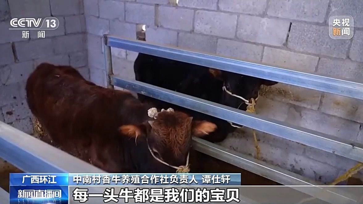 中南村:因地制宜强产业 群众增收有后劲